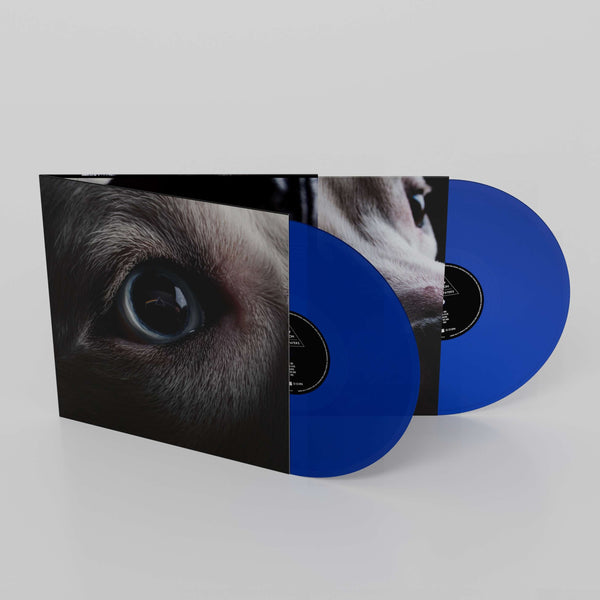 Vinyl (LP) Roger Waters - The Dark Side Of The Moon Redux (2LP)