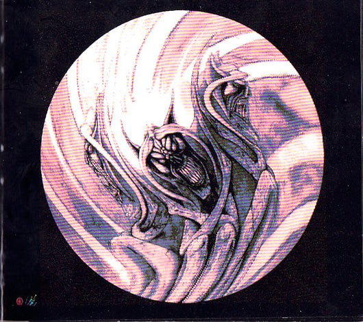 half-rotten-and-decayed