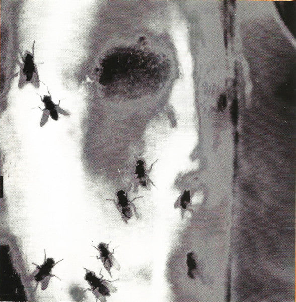 jar-of-flies