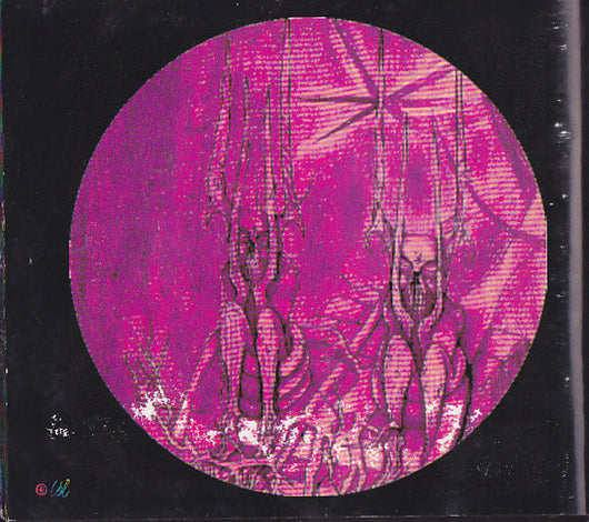 half-rotten-and-decayed