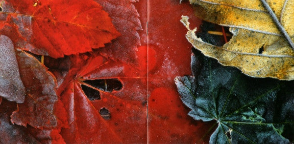 october-rust