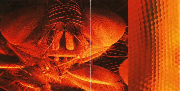 jar-of-flies