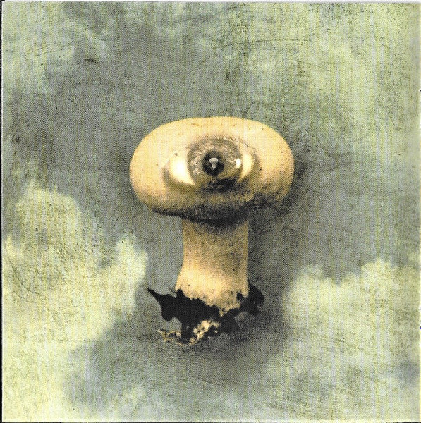 voyage-34