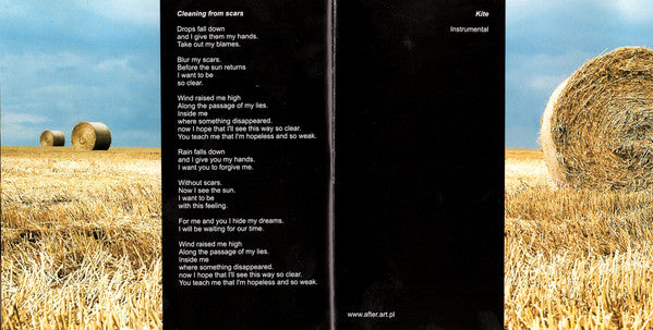 endless-lunatic