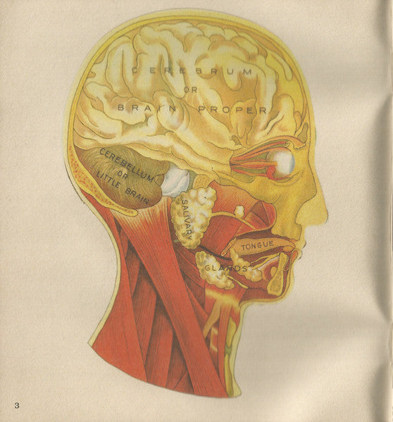vitalogy