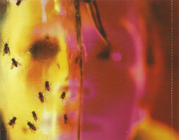 jar-of-flies