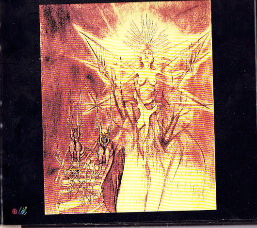 half-rotten-and-decayed