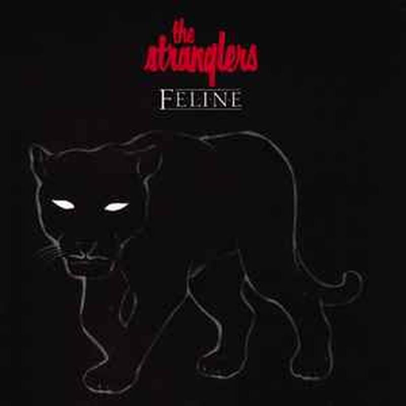 feline