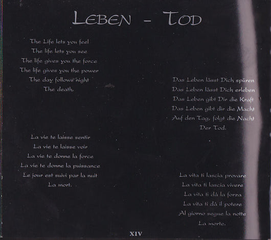 half-rotten-and-decayed