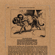 thee-silver-mountain-reveries*-–-the-"pretty-little-lightning-paw"-e.p.