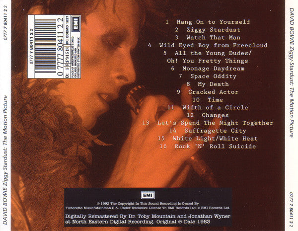 ziggy-stardust:-the-motion-picture