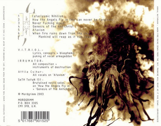 when-fire-rains-down-from-the-sky,-mankind-will-reap-as-it-has-sown