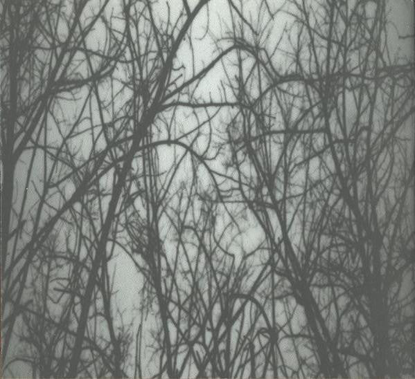the-silver-mt.-zion-memorial-orchestra-&-tra-la-la-band-with-choir*-–-this-is-our-punk-rock,-thee-rusted-satellites-gather+sing,