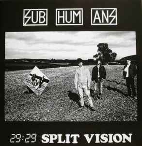 29:29-split-vision