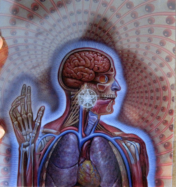 lateralus