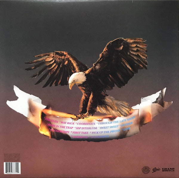 birds-in-the-trap-sing-mcknight