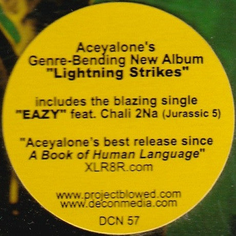 aceyalone-–-lightning-strikes