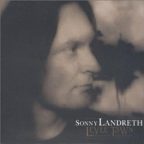 levee-town