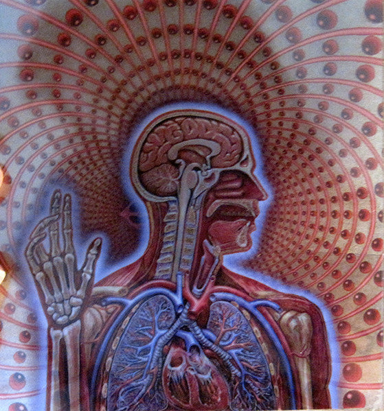lateralus