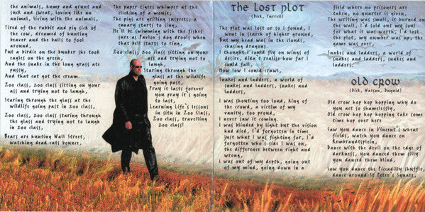 field-of-crows