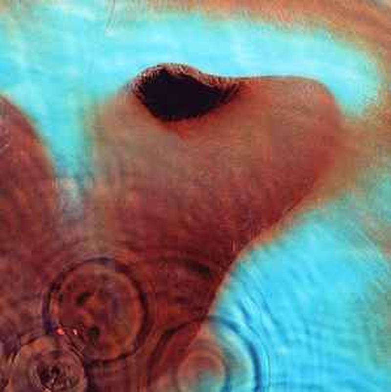 meddle