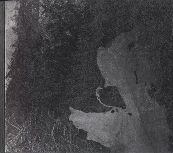 silent-waters