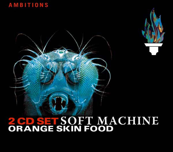 orange-skin-food