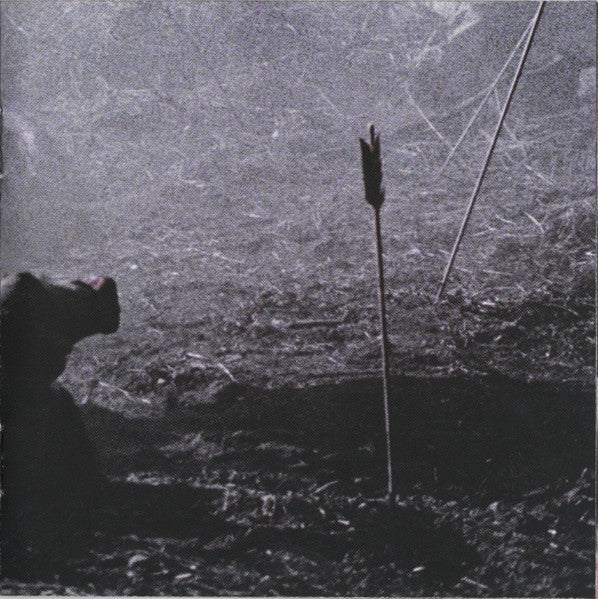 hollywoods-bleeding