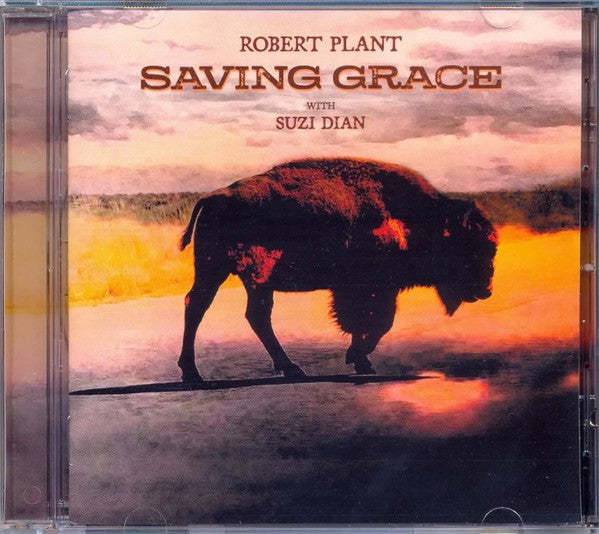 robert-plant-with-suzi-dian-–-saving-grace