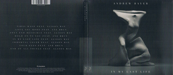 in-my-last-life