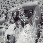 björk-–-vespertine