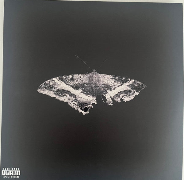 to-pimp-a-butterfly