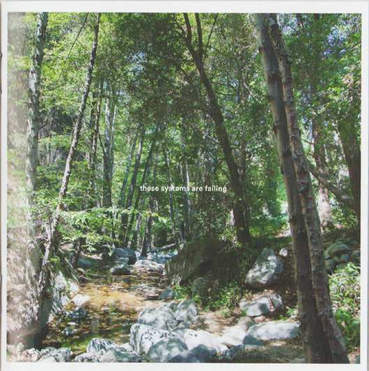 these-systems-are-failing