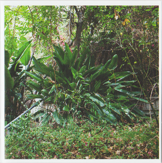 these-systems-are-failing