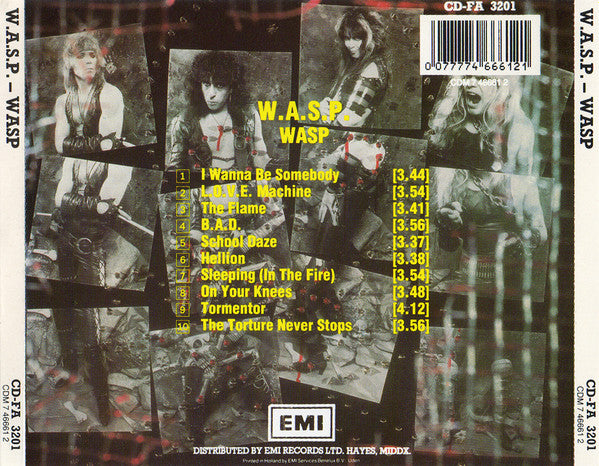 wasp