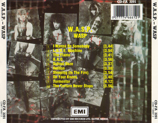 wasp