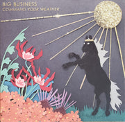 big-business-–-command-your-weather
