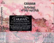 in-the-land-of-grey-and-pink