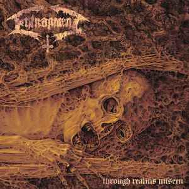 through-realms-unseen