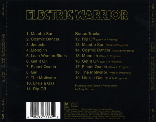 electric-warrior