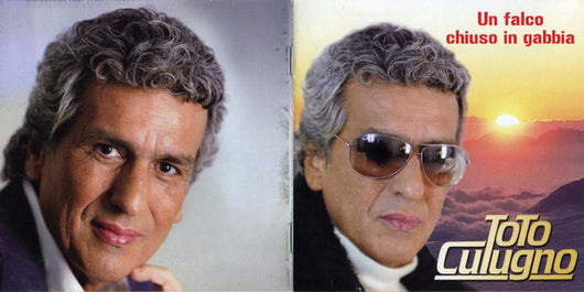 un-falco-chiuso-in-gabbia