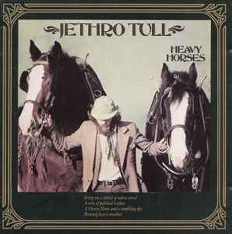 heavy-horses
