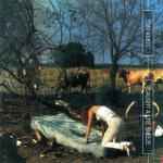 caught-a-lite-sneeze