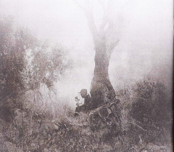 blackwater-park