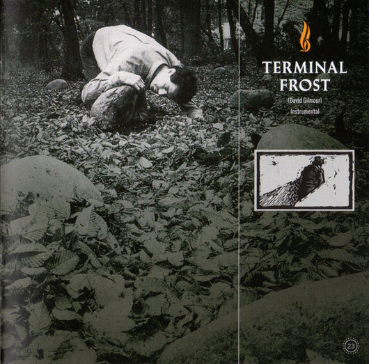 a-momentary-lapse-of-reason-(remixed-&-updated)