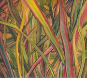 where-wildness-grows