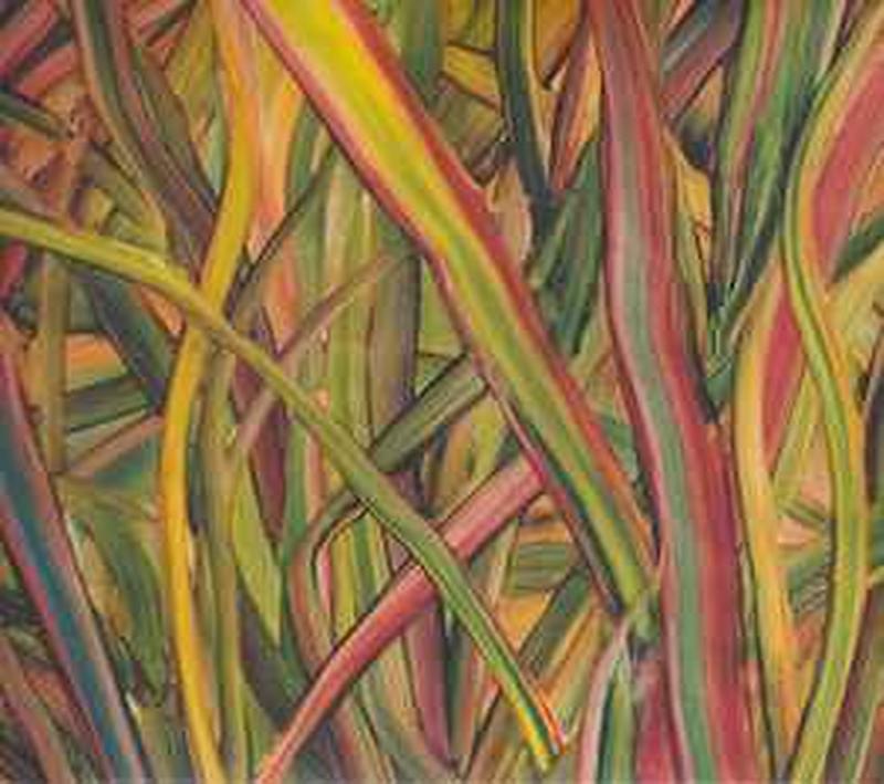 where-wildness-grows