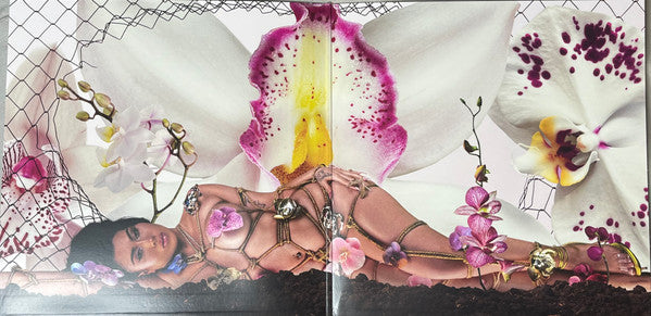orquídeas