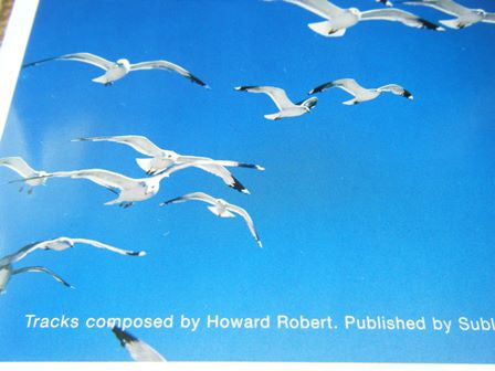 ambient-heaven---avian-chorus