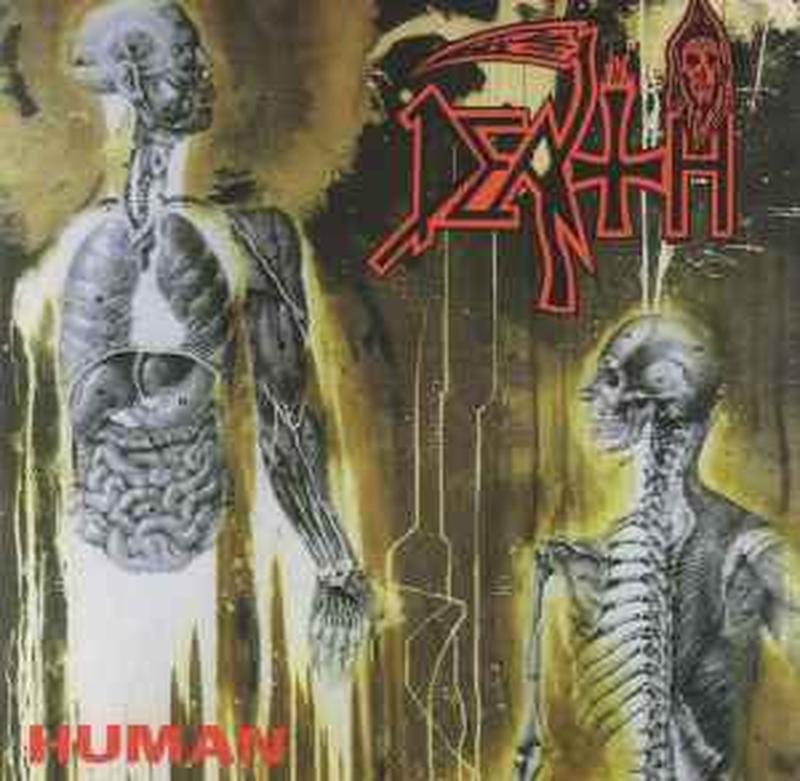 human
